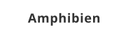 Amphibien