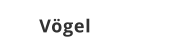 Vögel