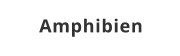 Amphibien