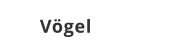 Vögel