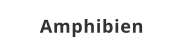 Amphibien