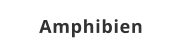 Amphibien